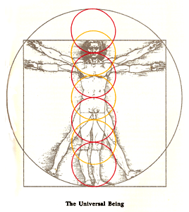 The Universal Being - Leonarda DaVinci's Vitruvian Man in The New Way